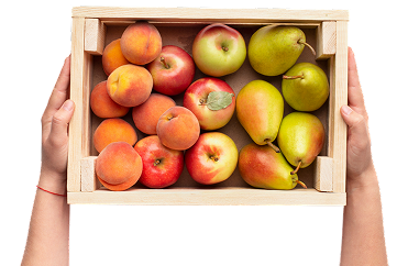 Venta de frutas en mercadillos Lleida